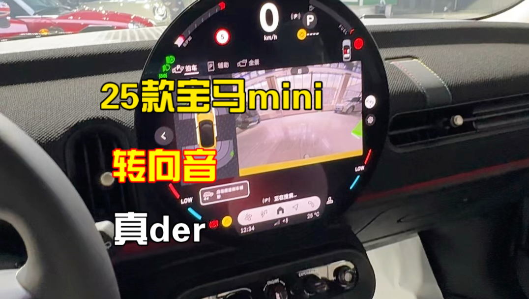 宝马mini转向音真der
