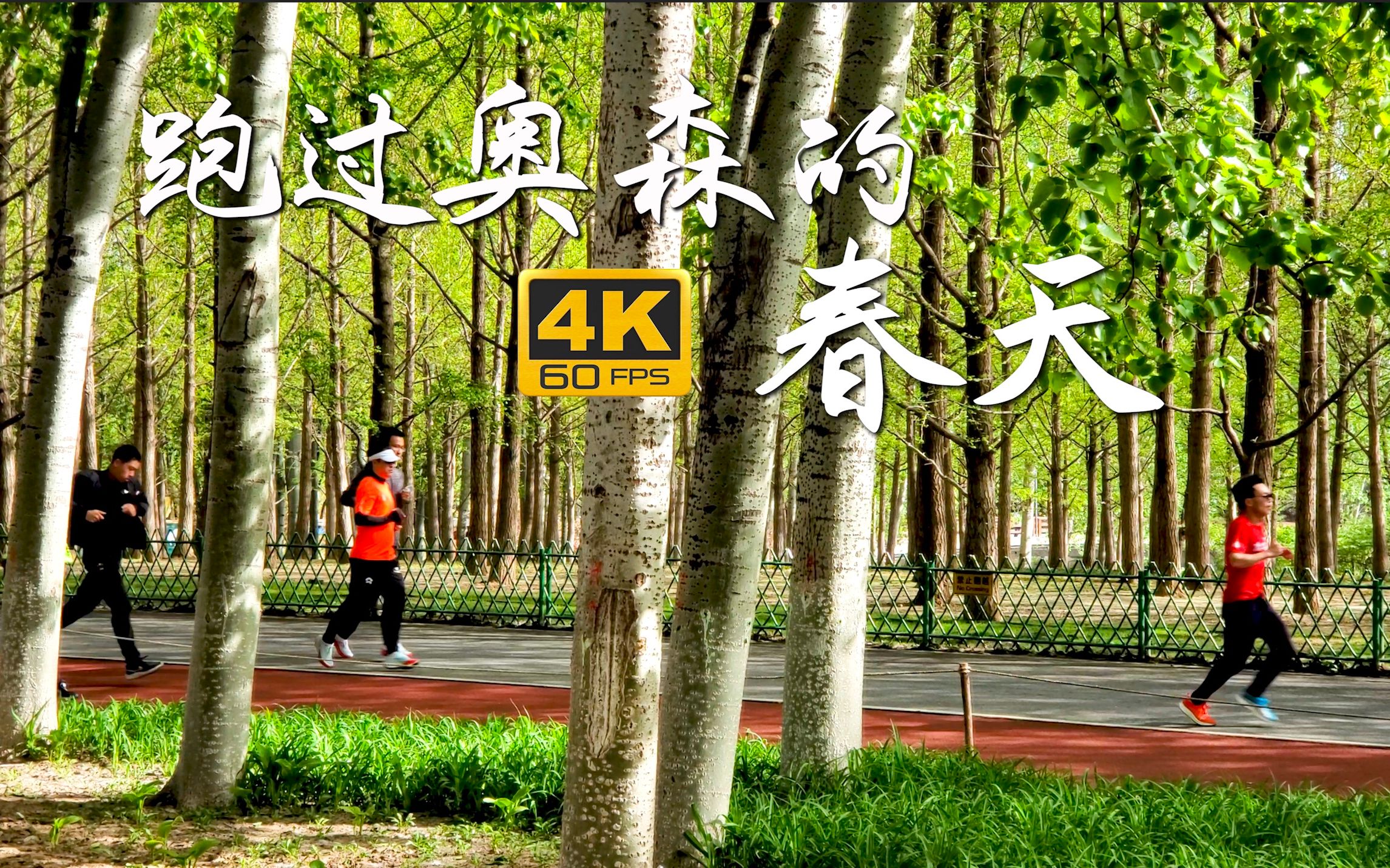 第一视角-跑过奥森的春天