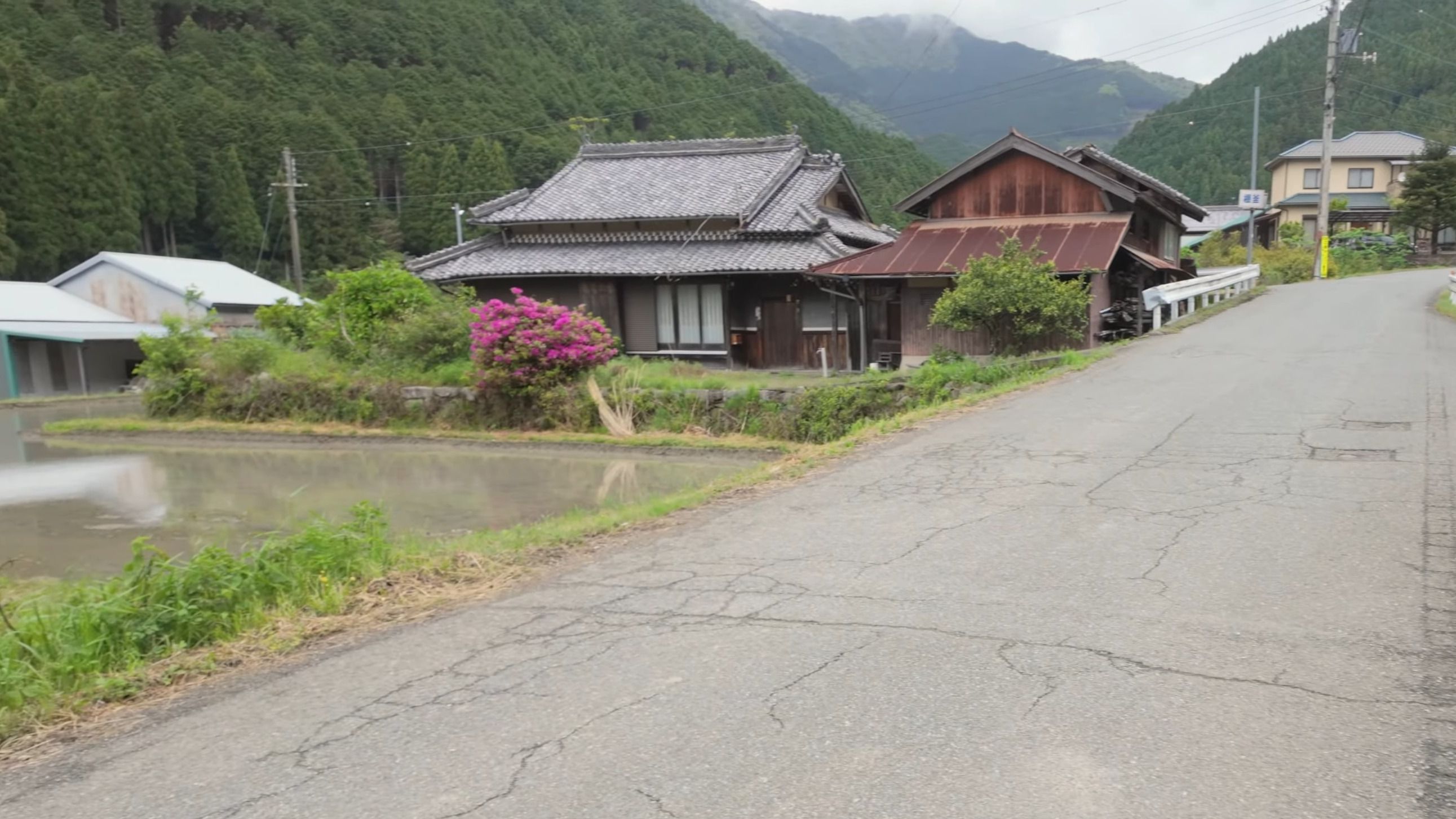 超级普通的日本农村，无开发，两岸稻田和我们农村有几分相似！