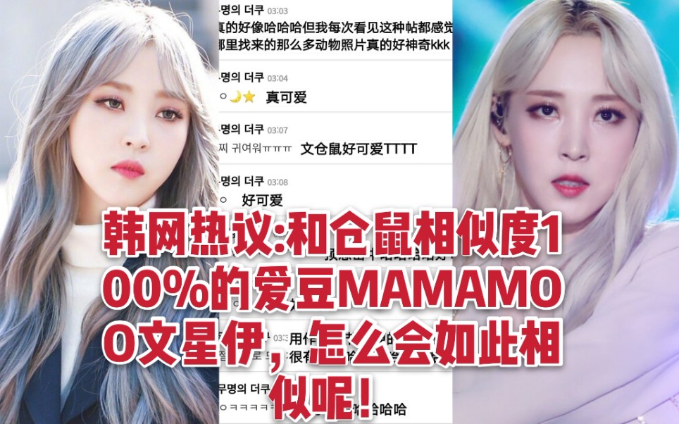 【韩网热议】和仓鼠相似度100%的爱豆MAMAMOO文星伊，怎么会如此相似呢！