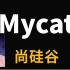 Mycat-数据库中间件-尚硅谷