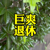 退休后的生活有多爽？60岁老阿姨告诉你
