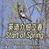 用英语介绍立春—Start of Spring，二十四节气