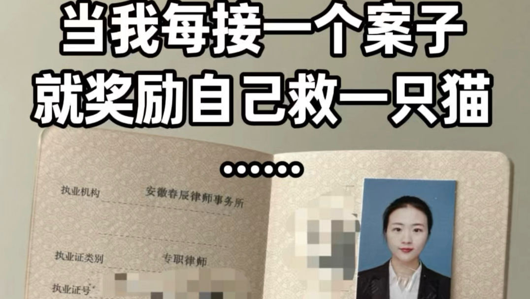 每当我接一个案件，就奖励自己救一个流浪猫……