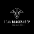 [ Team Black Sheep ]  TBS Oblivion - FPV Racer