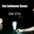 The Saltwater Room-Owl City