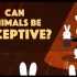 【Ted-ED】动物会欺骗吗 Can Animals Be Deceptive