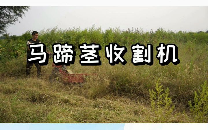马蹄茎收割机,特惠,速抢!