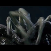 异形大战铁血战士1高燃镜头混剪/AVP1/画面调亮武器合集
