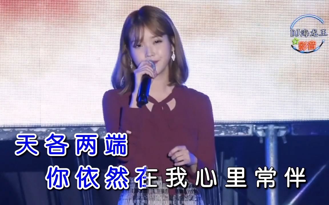 龙梅子《情路弯弯》（DJ舞曲）（海龙王影音）
