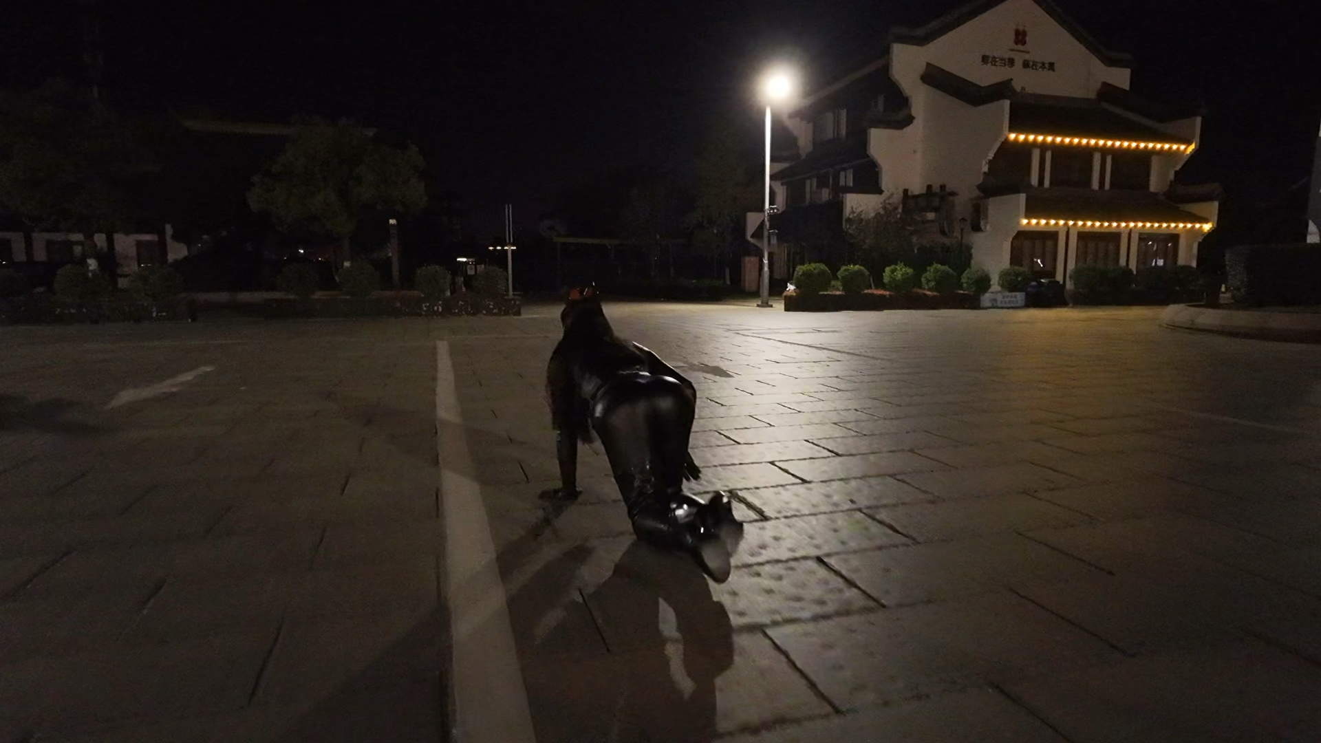 安妮海瑟薇版猫女cosplay（抽象版）