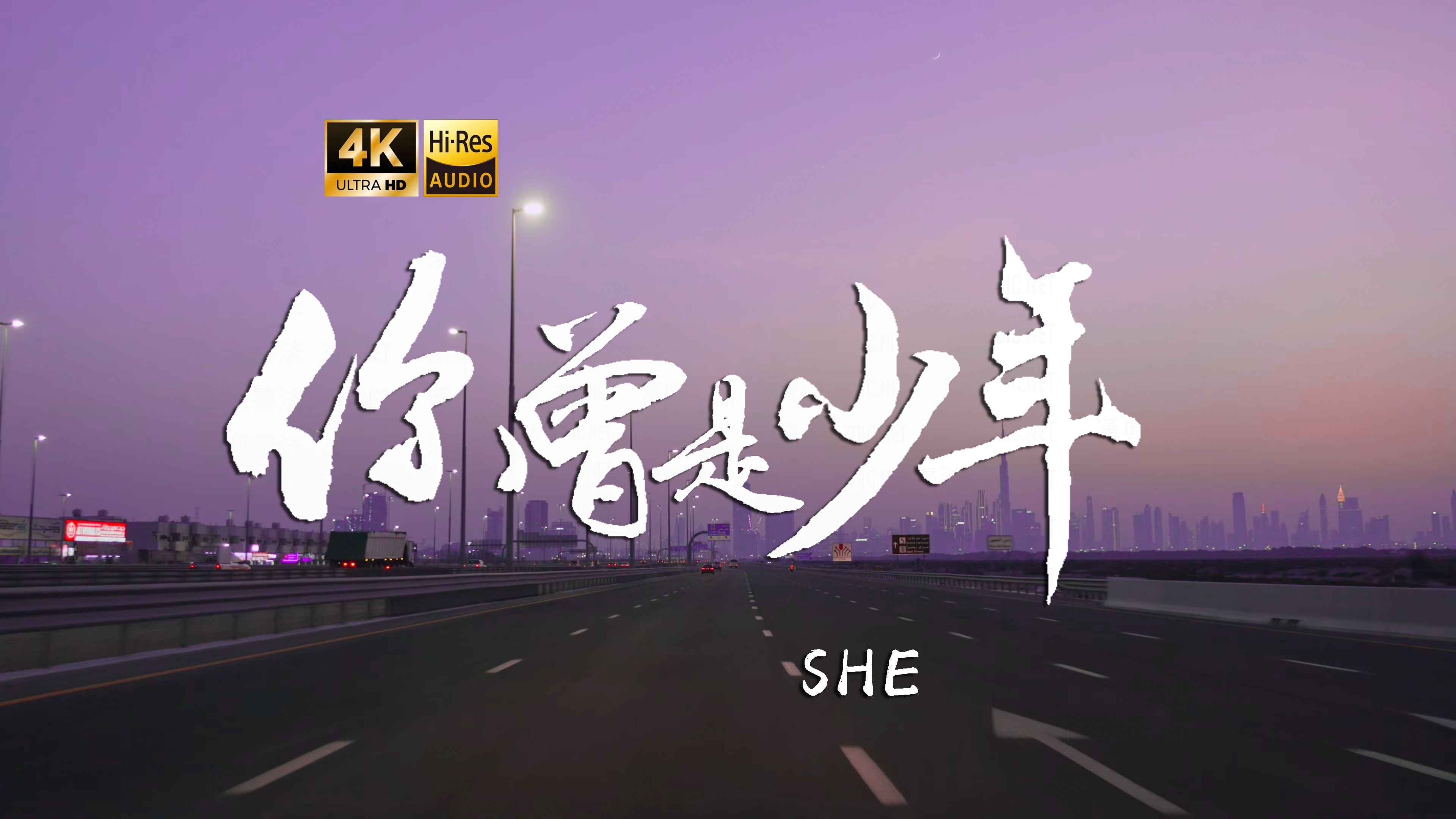 【4K Hi-Res】你曾是少年-S.H.E 谁还不是个少年