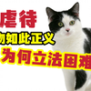 反虐待动物法真的该立吗？如此正义为何立不出来