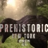 【纪录片】史前世界-Prehistoric 01