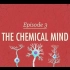 【10分钟心理学速成课】第3集 - 充满化学物质的大脑