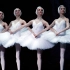 【芭蕾】各版《天鹅湖》四小天鹅之舞高清合辑-雪颈霜毛向天歌