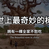 世上最奇妙的树，能吃能喝还能住人，它就是被当地人誉为生命之树的非洲猴面包树