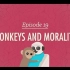【10分钟心理学速成课】第19集 - 猴子与道德