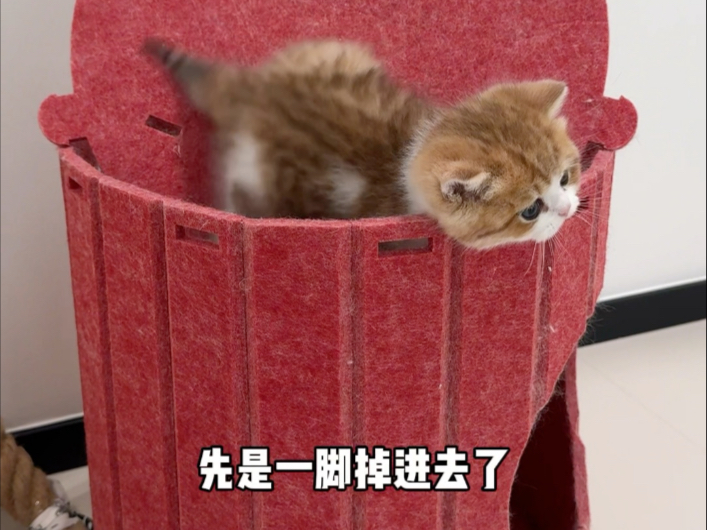一个坑掉下去两次什么实力不用多说了