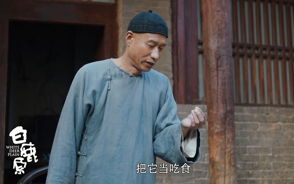 电视剧《白鹿原》朱先生cut