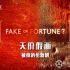 BTV《天价假画 Fake or Fortune? 》全10集 汉语中字 1080i高清纪录片