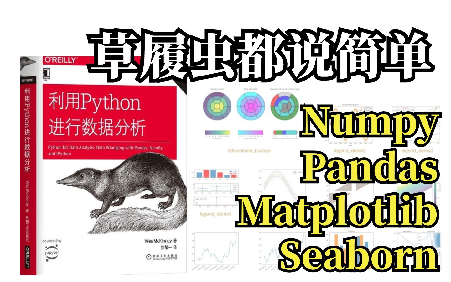 比啃书高效！圈内疯传的【人工智能python数据分析】教程，浙大教授带你一口气学完numpy/pandas/matplotlib/seaborn。草履虫能懂！！