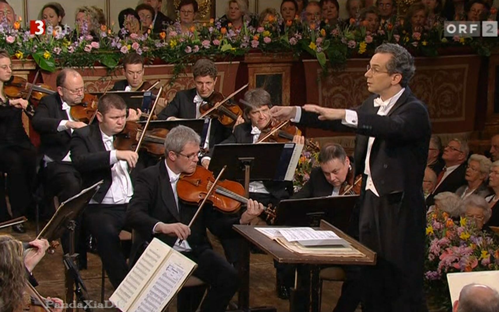 【高清】《多瑙河之波》圆舞曲 （伊万诺维奇）Donauwellen  指挥： 法比奥·路易斯（2010年维也纳之春音乐会）