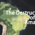 Vox【熟肉】解构被破坏的亚马逊森林 The destruction of the Amazon, explained