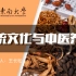 【东南大学】王长松·传统文化与中医养生（108课）