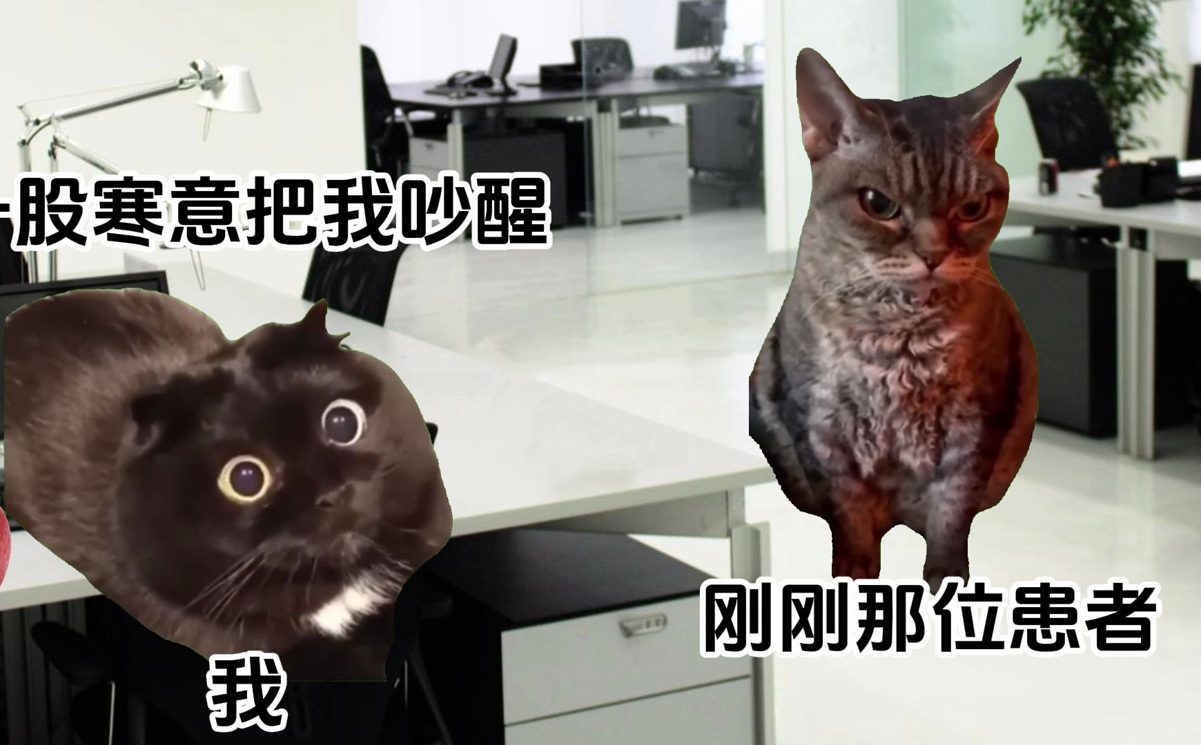 【猫meme】精神科夜班的日常-睡眠科