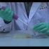 多克隆抗体制备-ELISA-实验操作