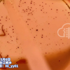 豆浆里喝出蟑螂腿和虫卵 女子以为是豆子还嚼了几下