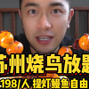 198一位实现烧鸟自由❗️饭桶小伙狂炫130多串亏麻老板