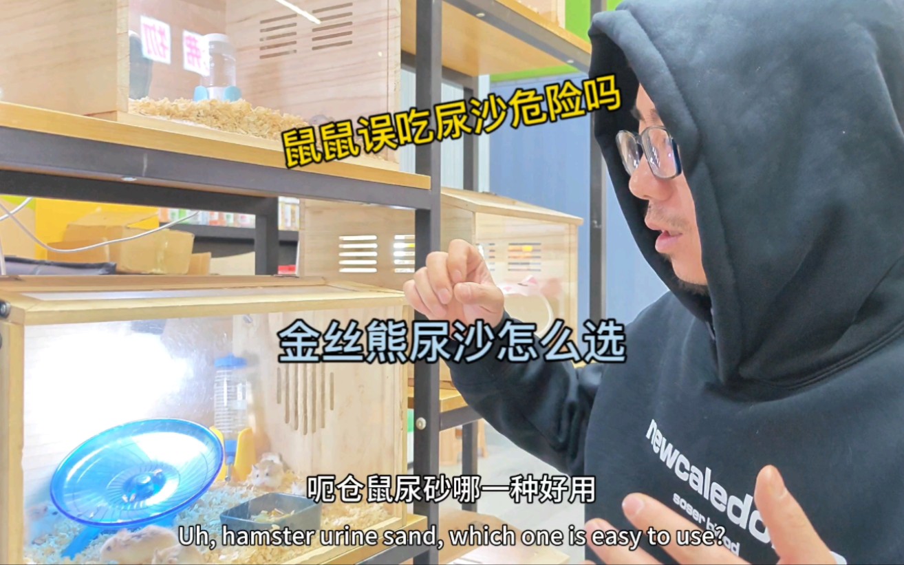 仓鼠尿沙就是猫砂，换个名字而已！选合适的就行。