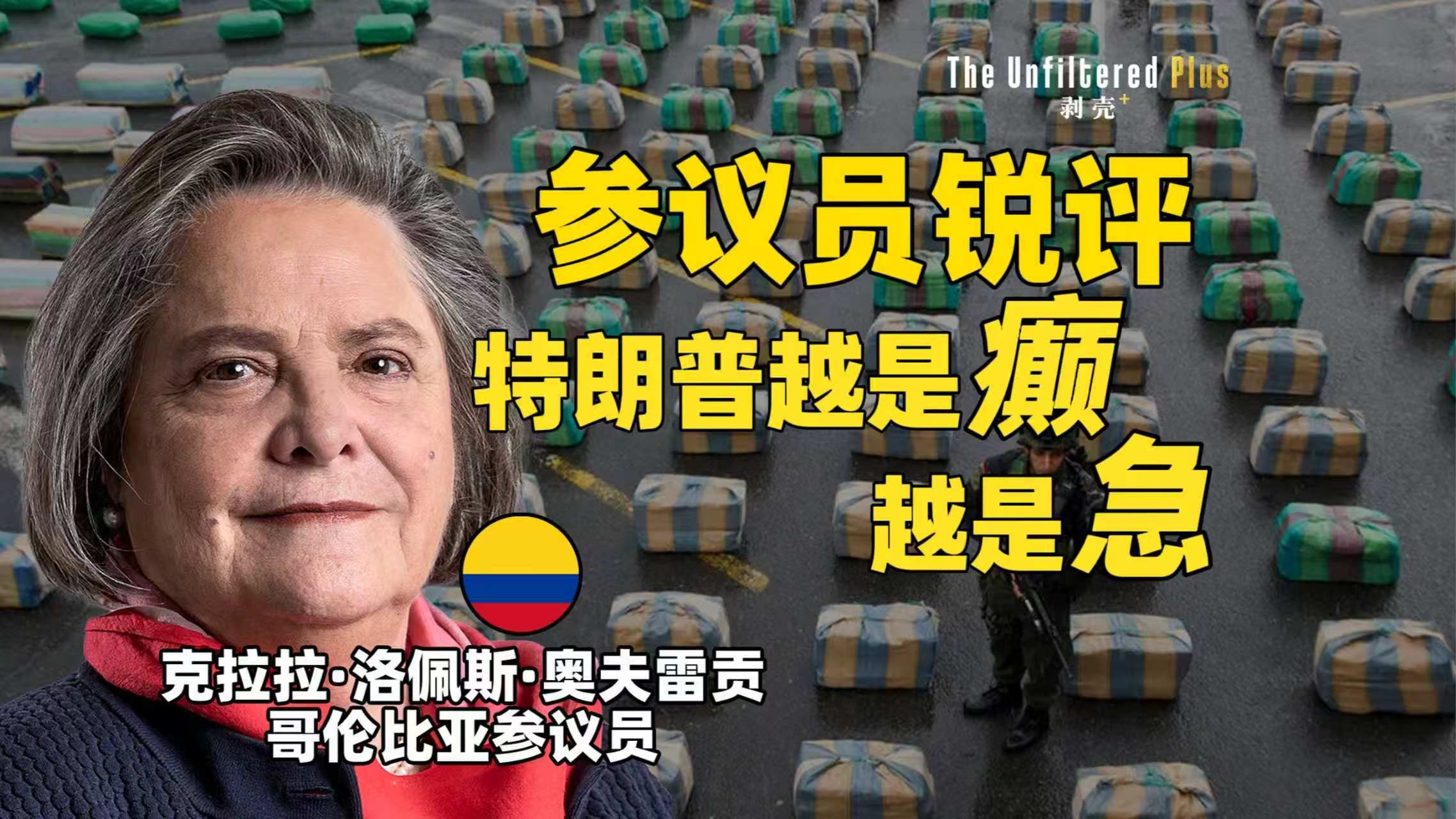 哪国总统在纽约集会喊话美军别听特朗普指挥？