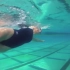 [YouTube(油管)]自由泳进阶(动作矫正)Common Freestyle Mistakes in Swimmin