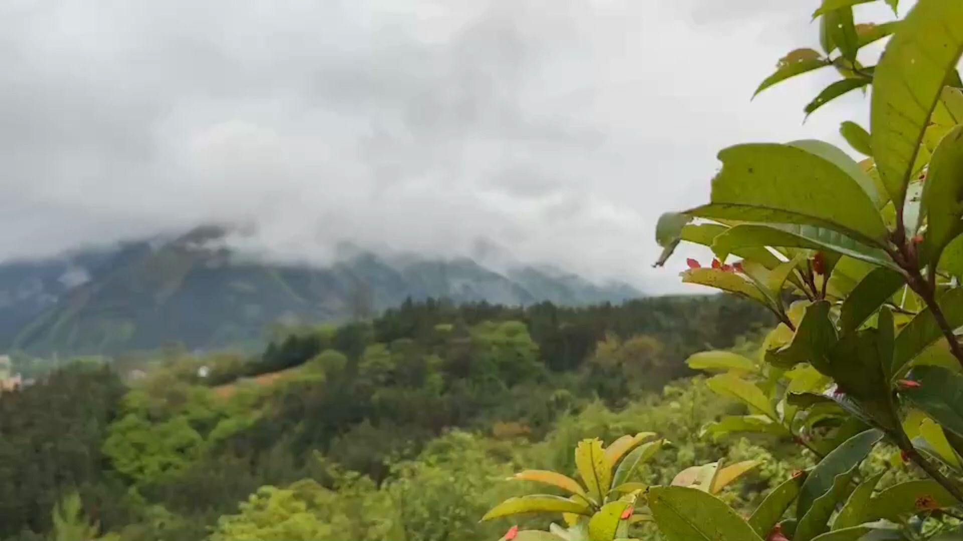 三月桂林灌阳_哔哩哔哩_bilibili