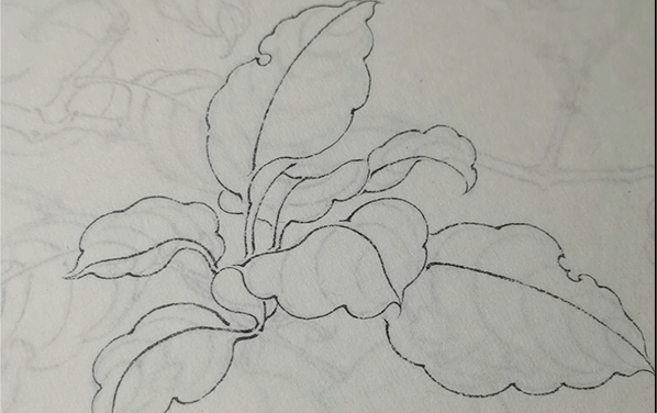 【工笔花鸟课程】宋画叶片白描勾线示范