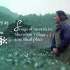 中国乡村旅游减贫案例纪实第二集：神山村的“凡人歌”