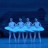 【芭蕾】【莫斯科大剧院芭蕾舞团】2015《天鹅湖》