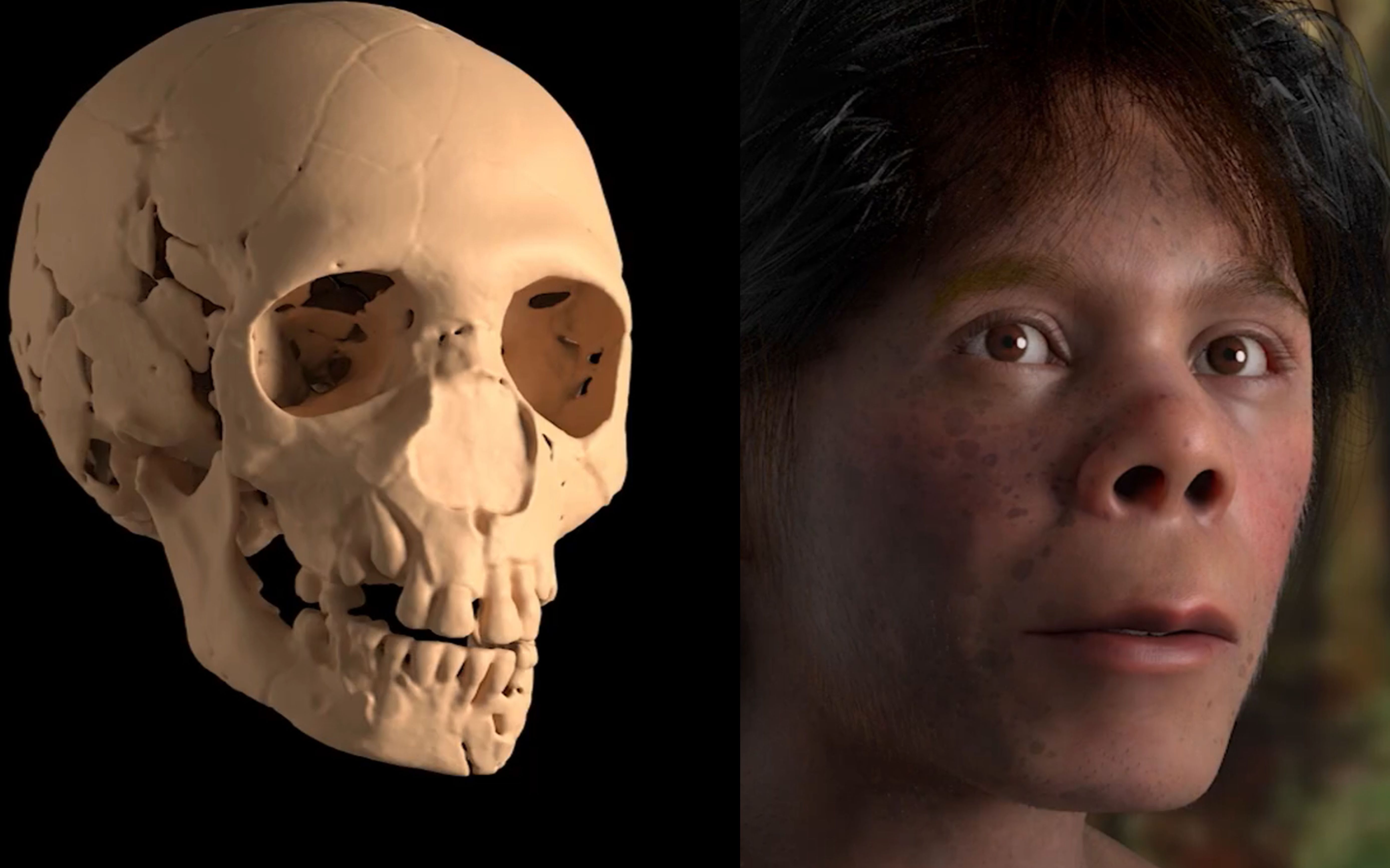 4万年前8岁男孩容貌复原