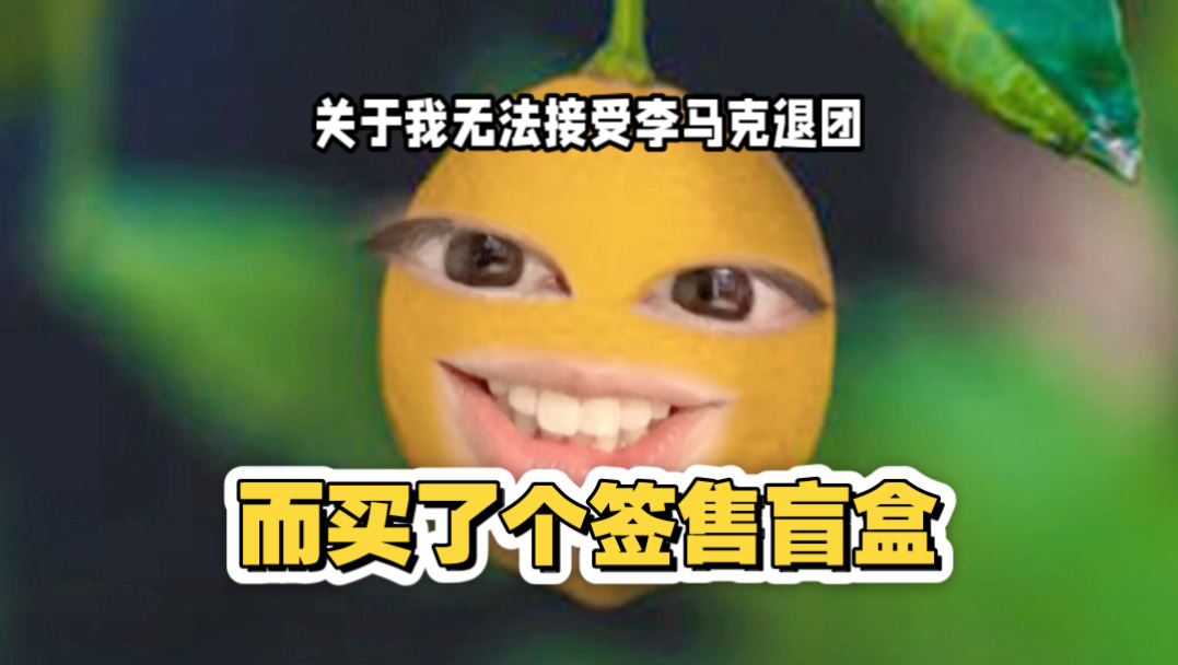 关于我无法接受李马克退团而买了个签售盲盒和爱豆一起哭