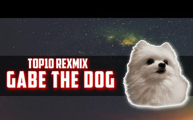 om Kemiker Typisk Top10 Remixes Gabe The Dog-哔哩哔哩