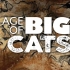 【纪录片/英语生肉】大猫时代 Age of Big Cats 全3集