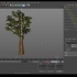 C4D树tree骨骼绑定动画教程，IK动力学系统，风吹树动，风停树静，超实用，超容易上手