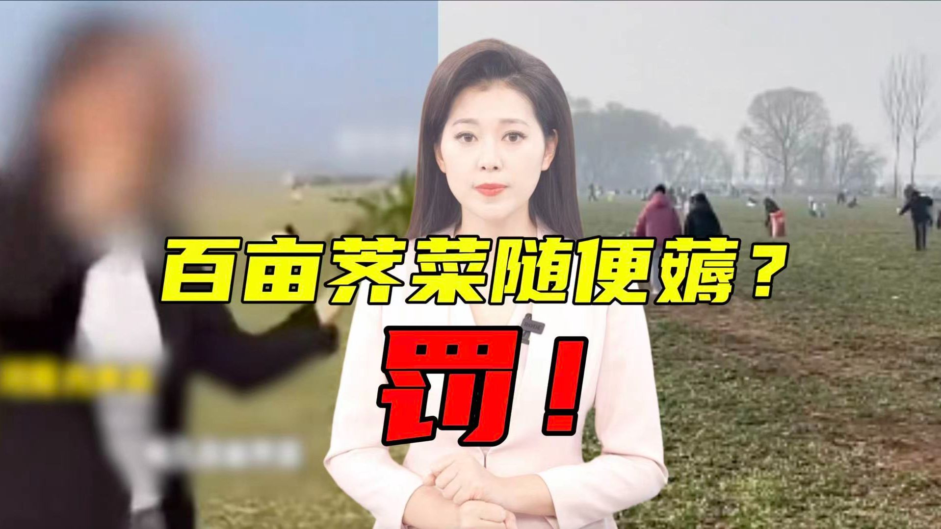 网红造谣“随便挖”，农民200亩地毁了？！网友：狠罚！【主播说三农】