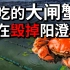 你吃的大闸蟹正在毁掉阳澄湖 | 央视点名阳澄湖蟹污染