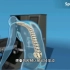 腰椎间盘突出病因，能做牵引治疗吗，3D演示。。
