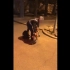 600期：男子拍视频挑战北京酒驾，1分钟后去世！网友：挑战失败