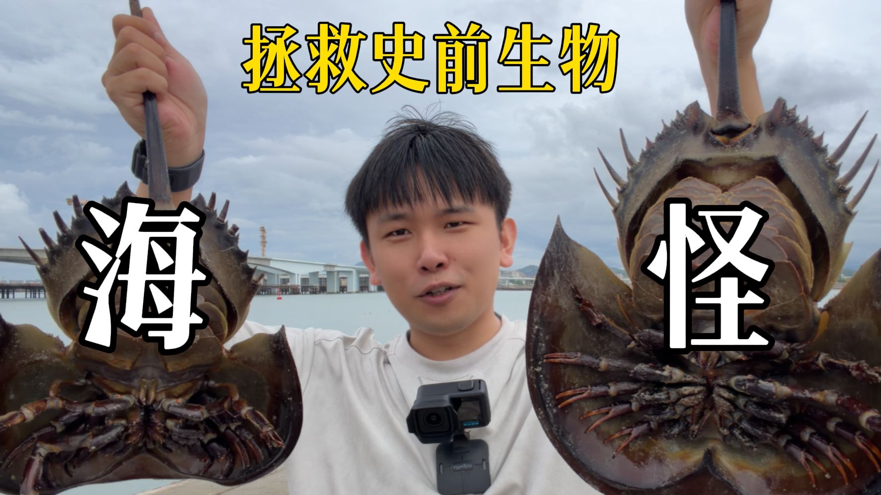 拯救了两只存在 4亿年的史前生物！人类存活至今都得感谢它！